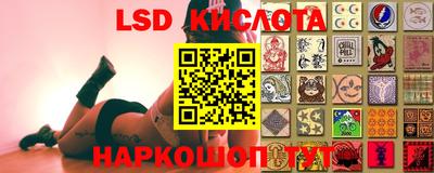 прущие грибы Кулебаки