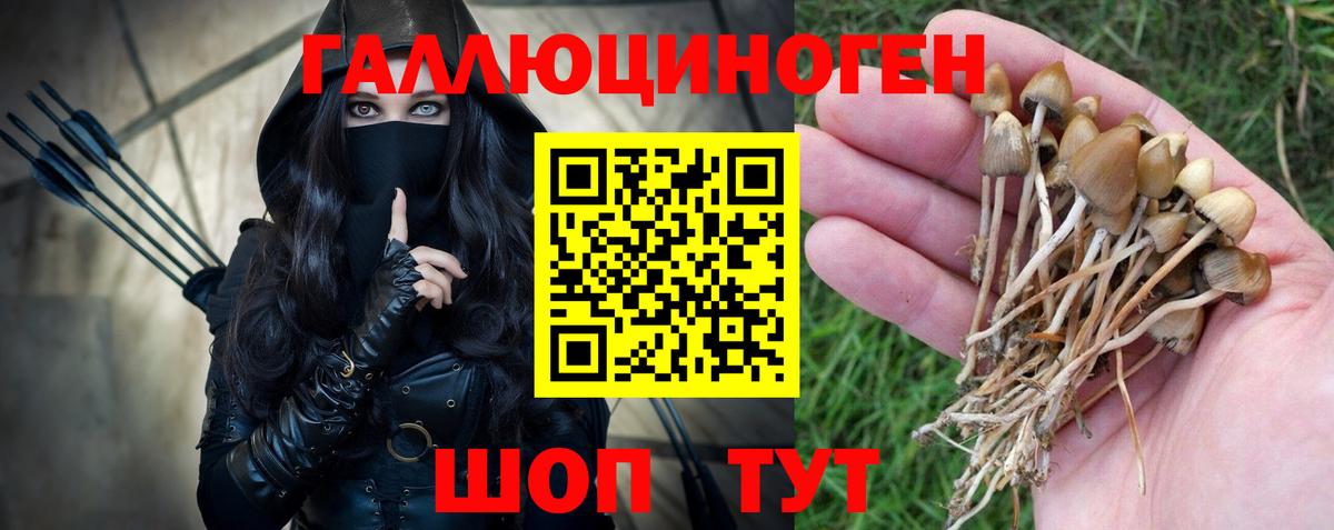 Ессентуки  Псилоцибиновые грибы прущие грибы  Псилоцибиновые грибы мицелий  Вход с VPN 